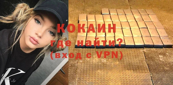 гидра Елабуга