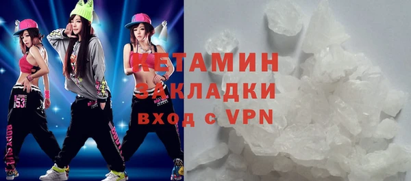 стаф Ельня