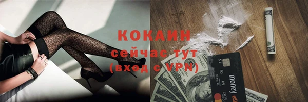 сатива Дмитриев