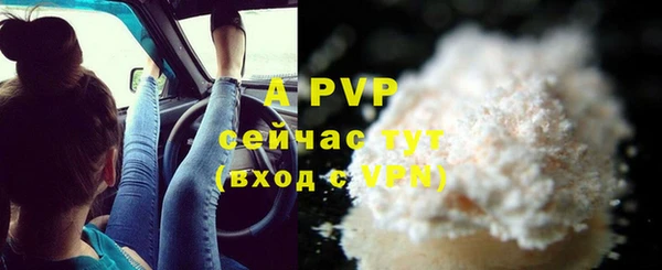 стаф Ельня