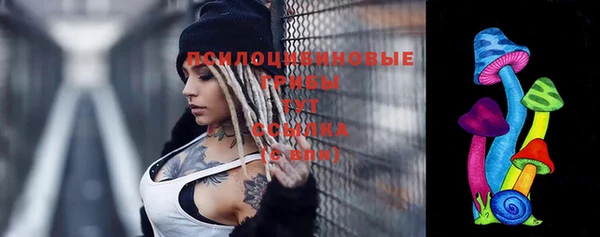 сатива Дмитриев