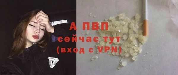 сатива Дмитриев
