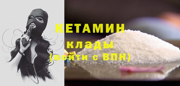 гидра Елабуга