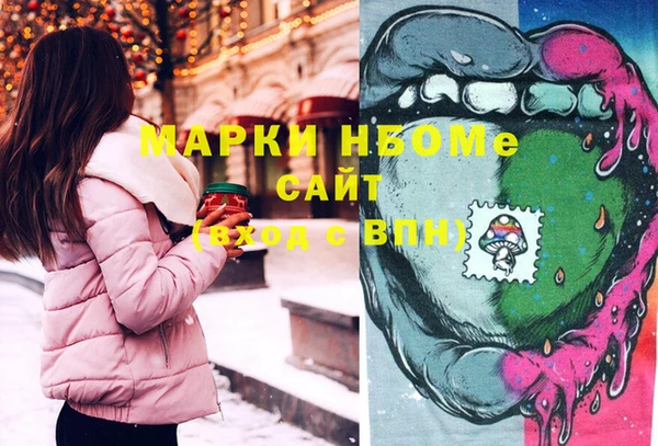 стаф Ельня