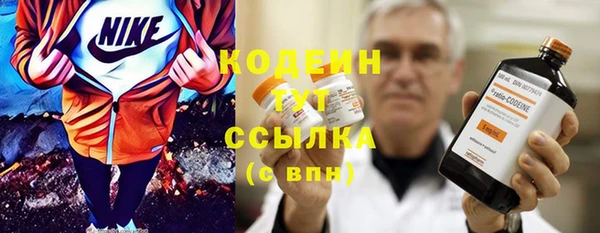 гидра Елабуга