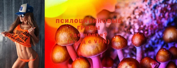 гидра Елабуга