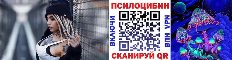 Галлюциногенные грибы Psilocybe  Печоры 